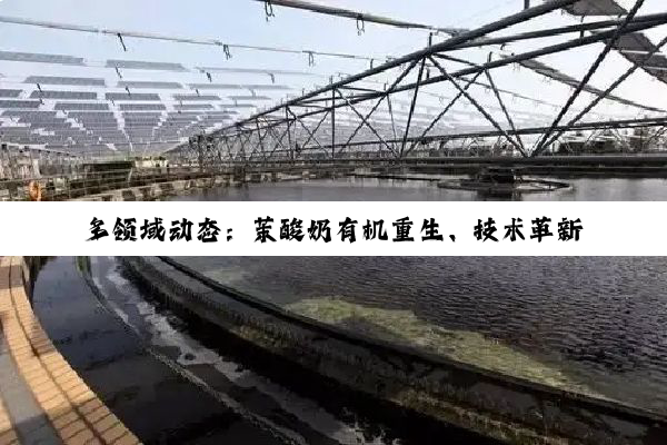 多领域动态：茉酸奶有机重生、技术革新与环保行动
