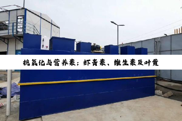 抗氧化与营养素：虾青素、维生素及叶黄素效能深度剖析